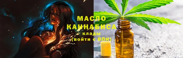 стаф Пересвет