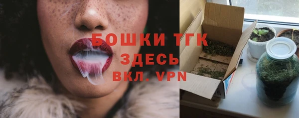 бошки Аркадак