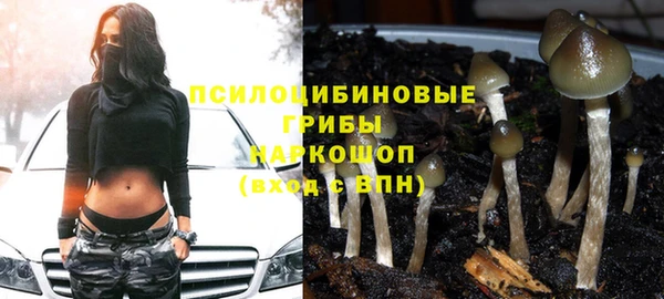 таблы Армянск