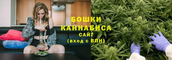 бошки Аркадак