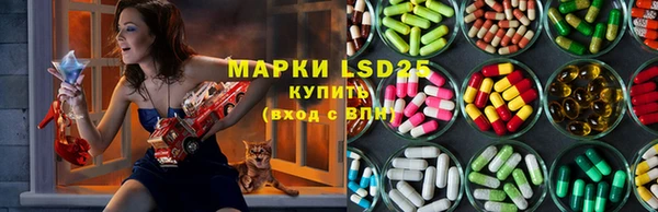 бошки Аркадак
