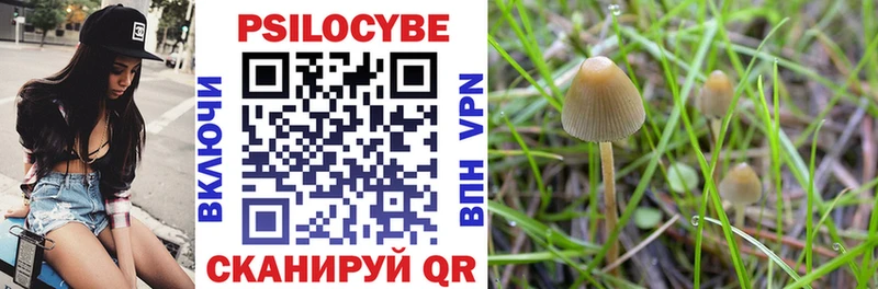 Галлюциногенные грибы MAGIC MUSHROOMS  ОМГ ОМГ ссылка  это как зайти  Гвардейск 